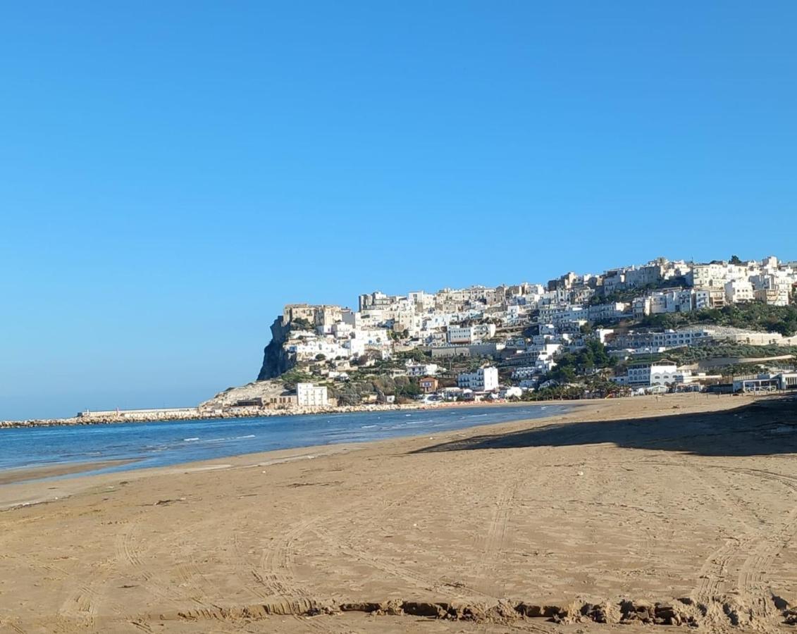 הוילה פסקיצ'י La Casa Al Mare מראה חיצוני תמונה