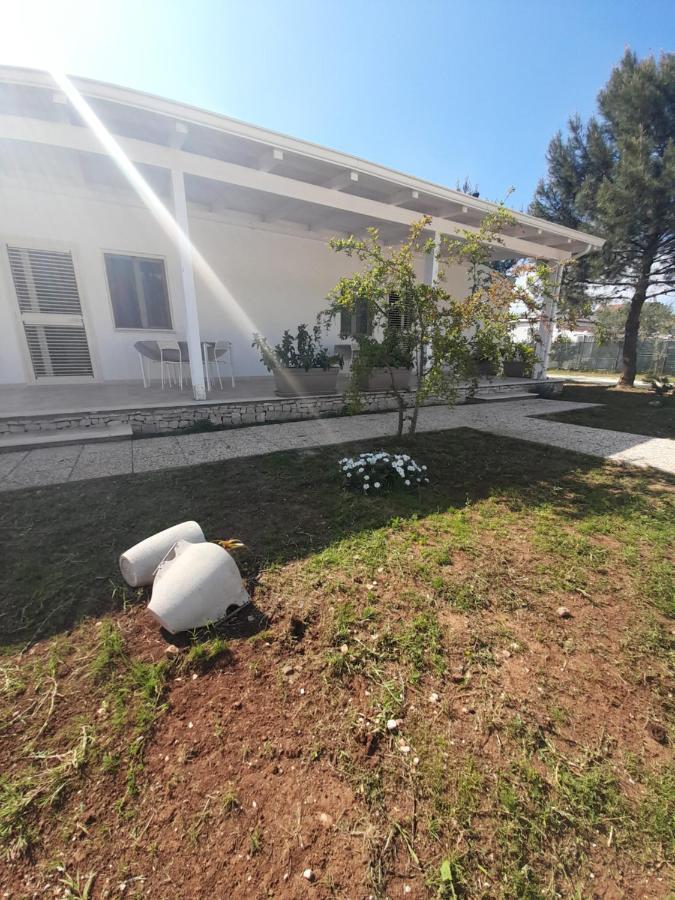 הוילה פסקיצ'י La Casa Al Mare מראה חיצוני תמונה