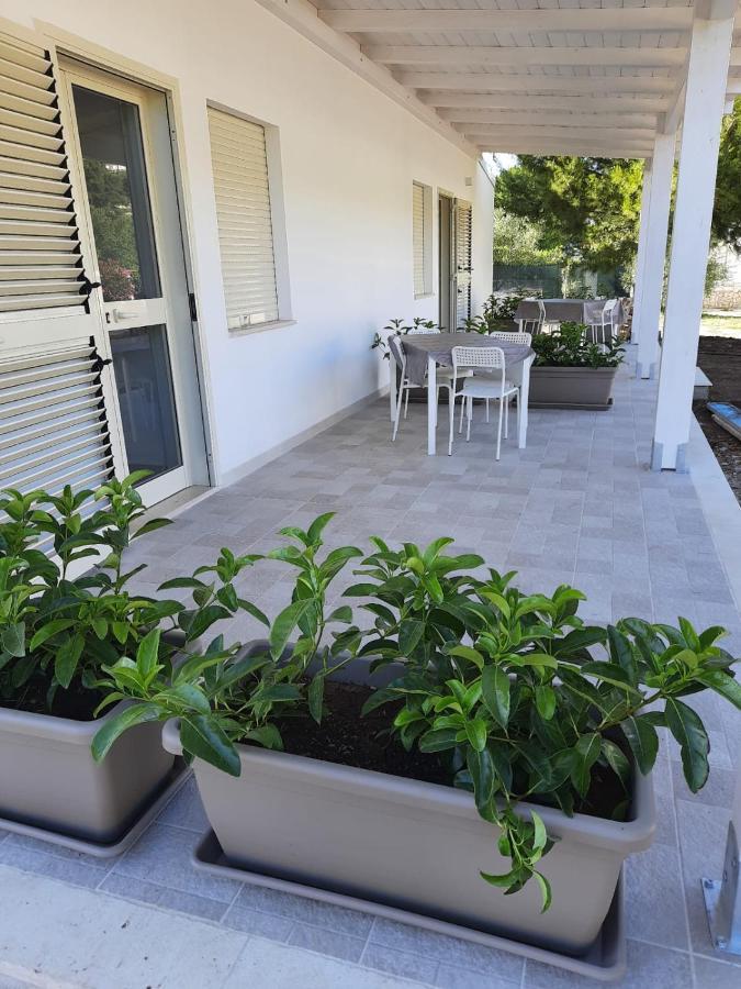 הוילה פסקיצ'י La Casa Al Mare מראה חיצוני תמונה